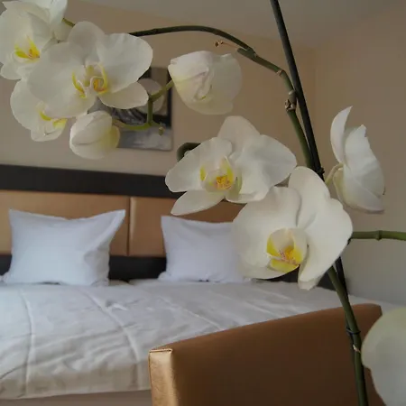 2places Side Lörrach